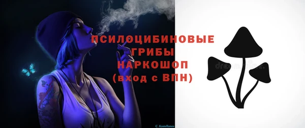гашик Заволжск