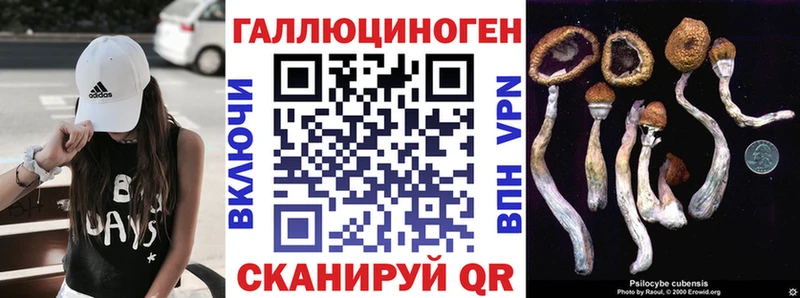 Купить  Новозыбков  Галлюциногенные грибы мухоморы 